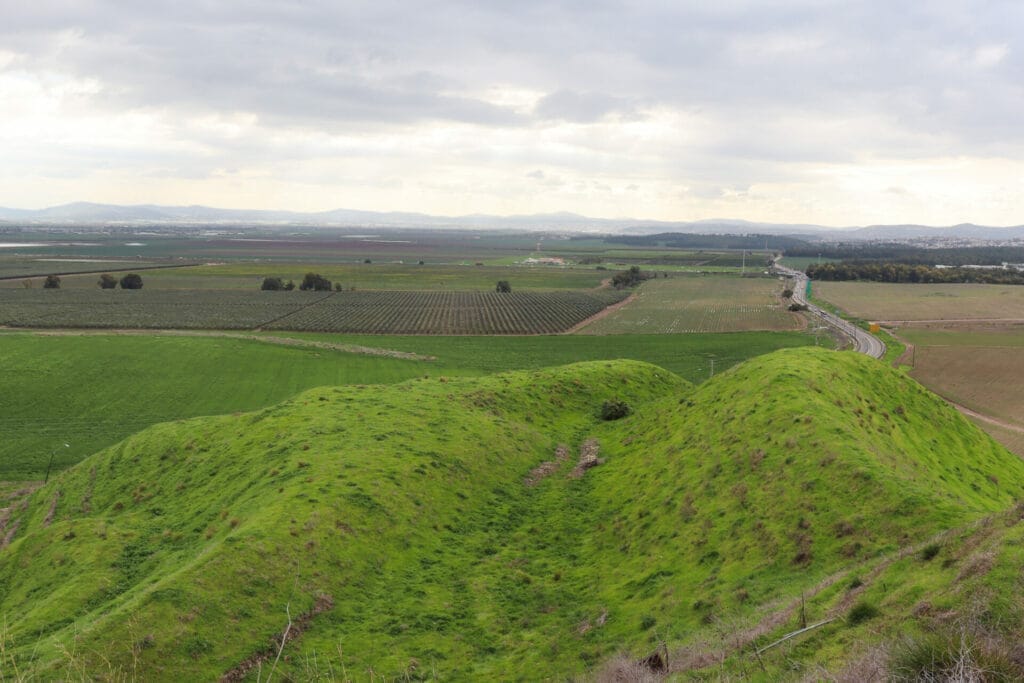 Tel Megiddo Manhat Megiddo Israel Wildflowers