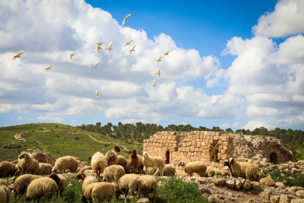 Hurvat Zak hike Israel Shfela Darom Adom