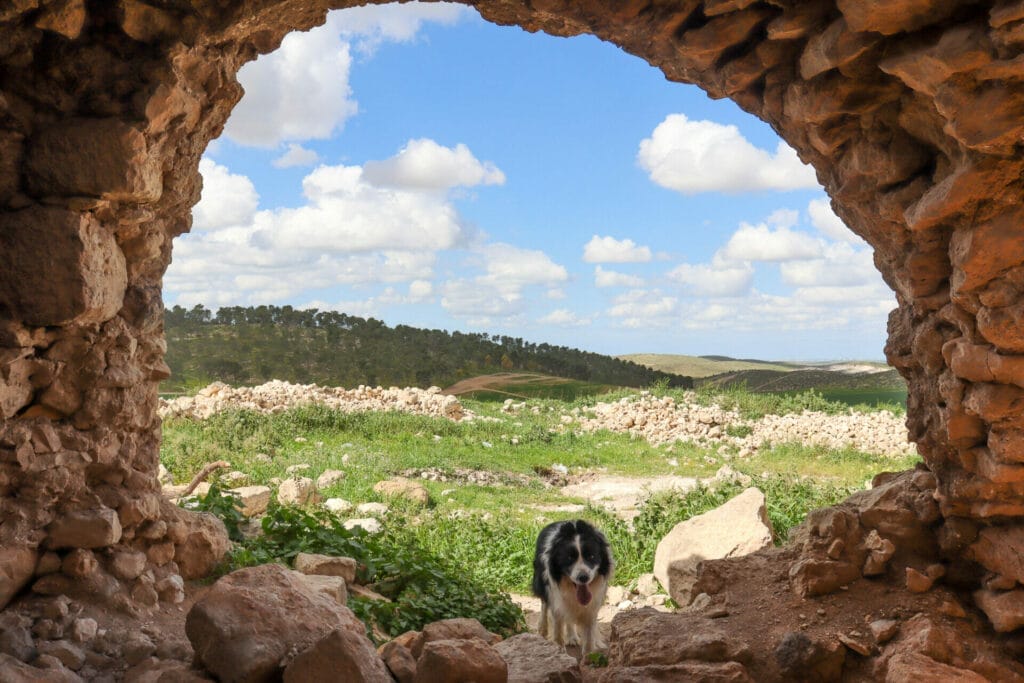 Hurvat Zak hike Israel Shfela Darom Adom