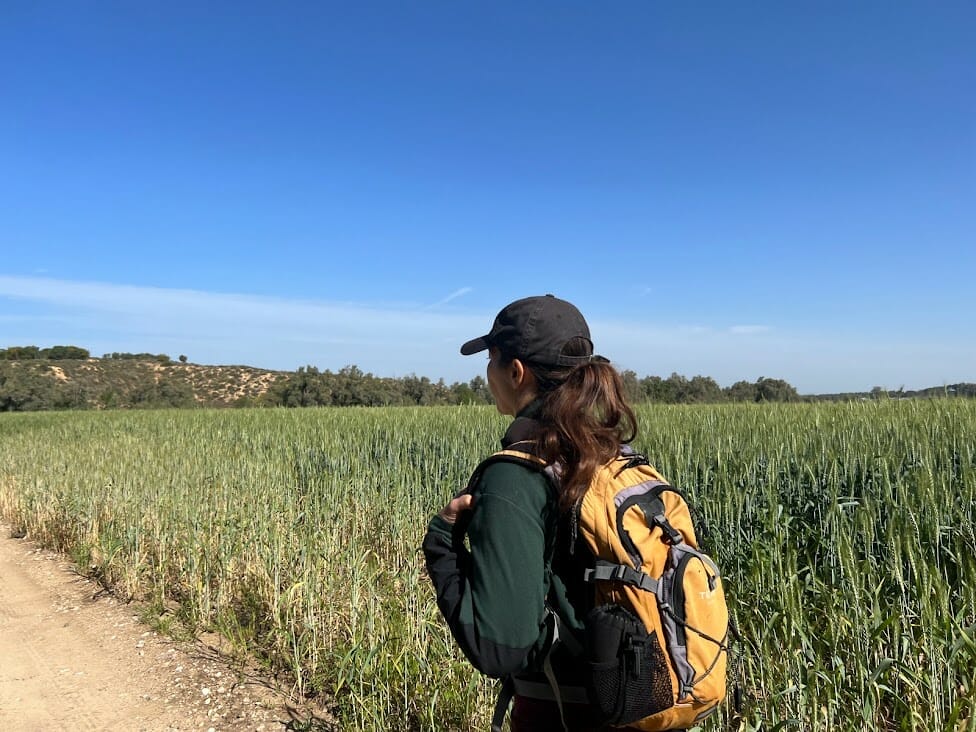 Shikma Stream hike Nahal Shikma