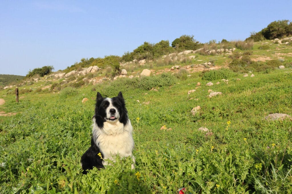 Adulam Hurvat Yonim hike Israel