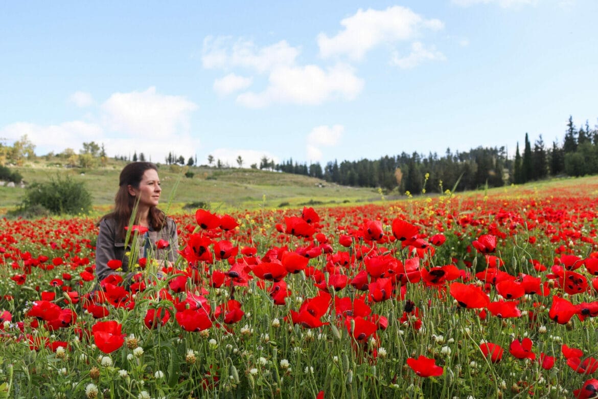 Red Poppies on Burma Road