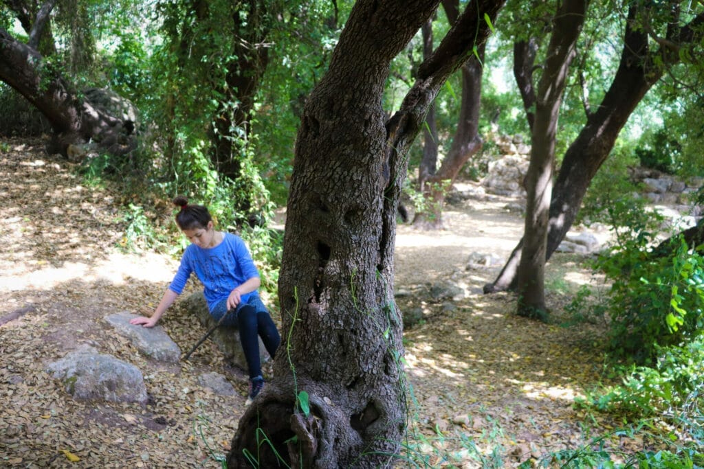 summer hiking in israel