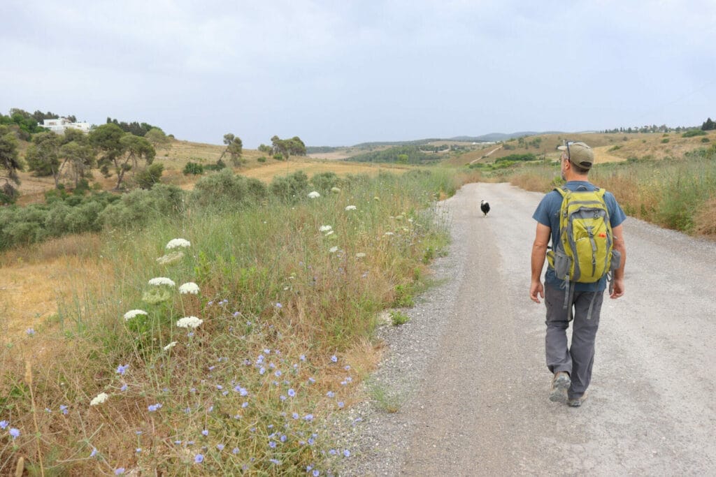 Ein Rechania Ramat HaShofet Springs hike