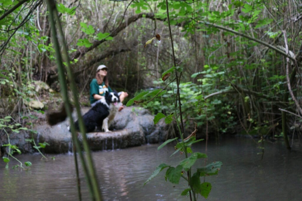 Ein Rechania Ramat HaShofet Springs hike