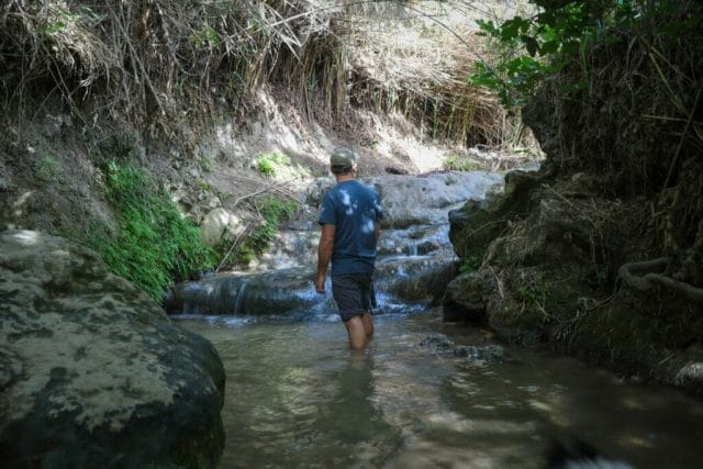 Ein Rechania Ramat HaShofet Springs hike