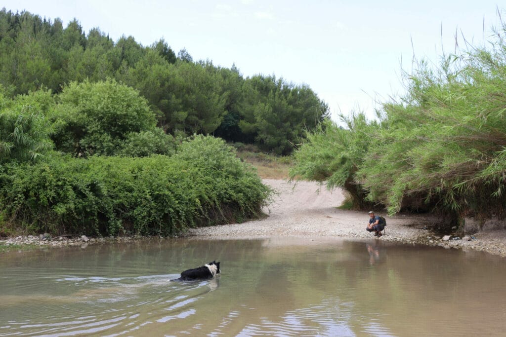 Ein Rechania Ramat HaShofet Springs hike