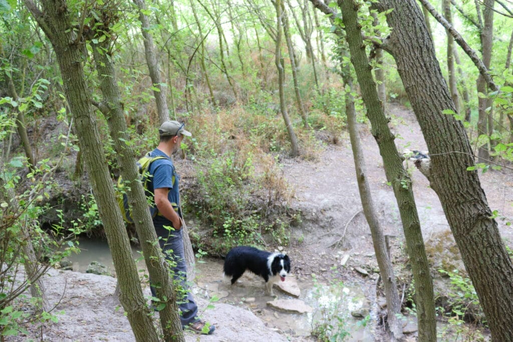 Ein Rechania Ramat HaShofet Springs hike