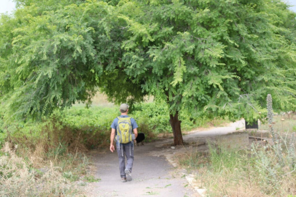 Ein Rechania Ramat HaShofet Springs hike