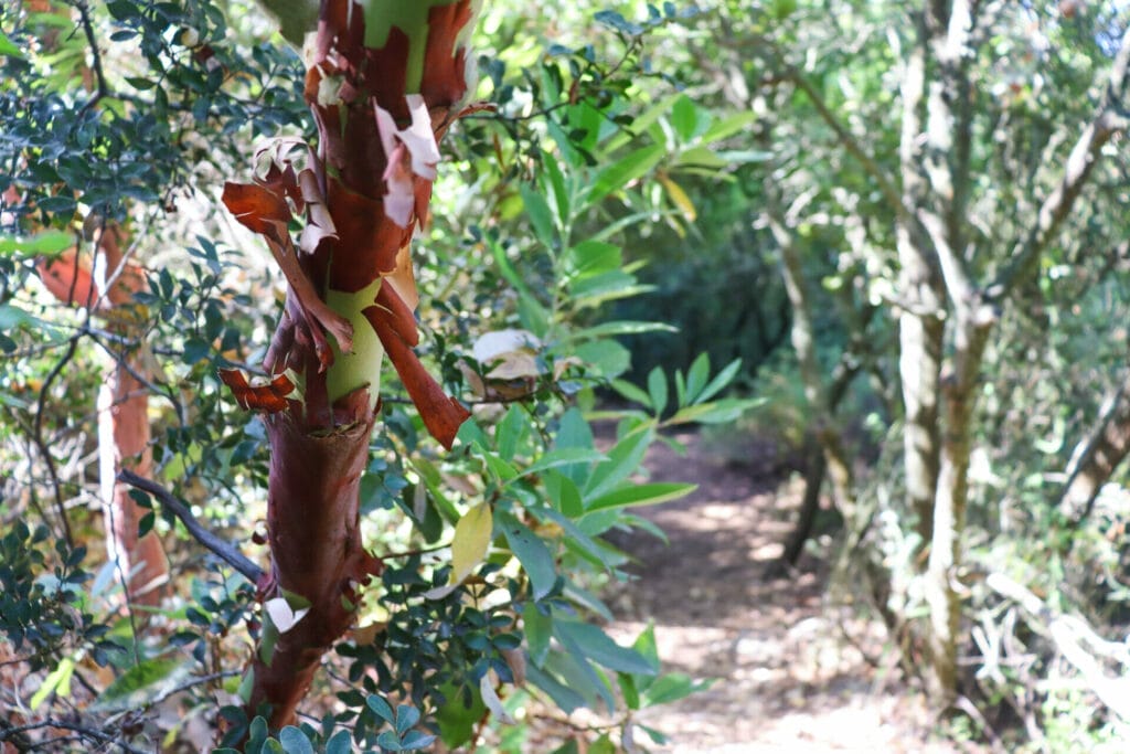 Nahal HaMeara hike Jerusalem