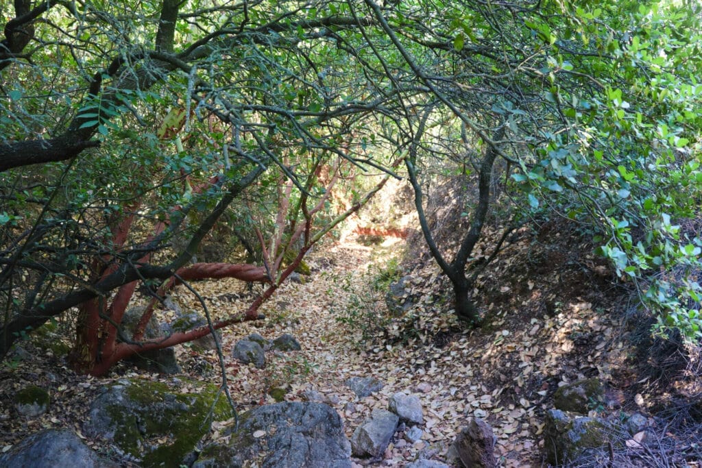 Nahal HaMeara hike Jerusalem