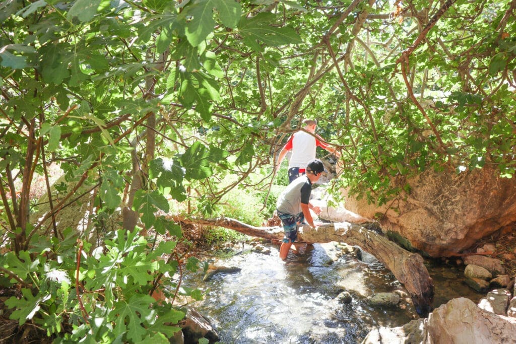 Summer hikes for families in israel