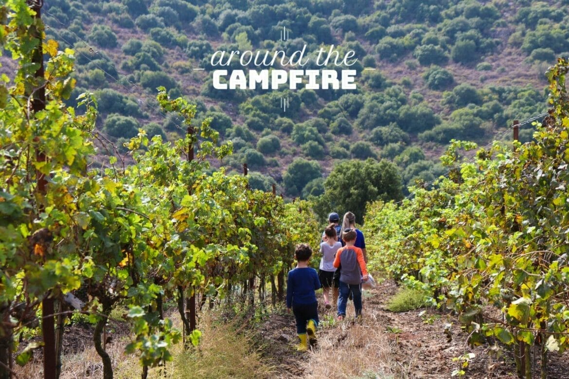 Falling in Love for the First Time