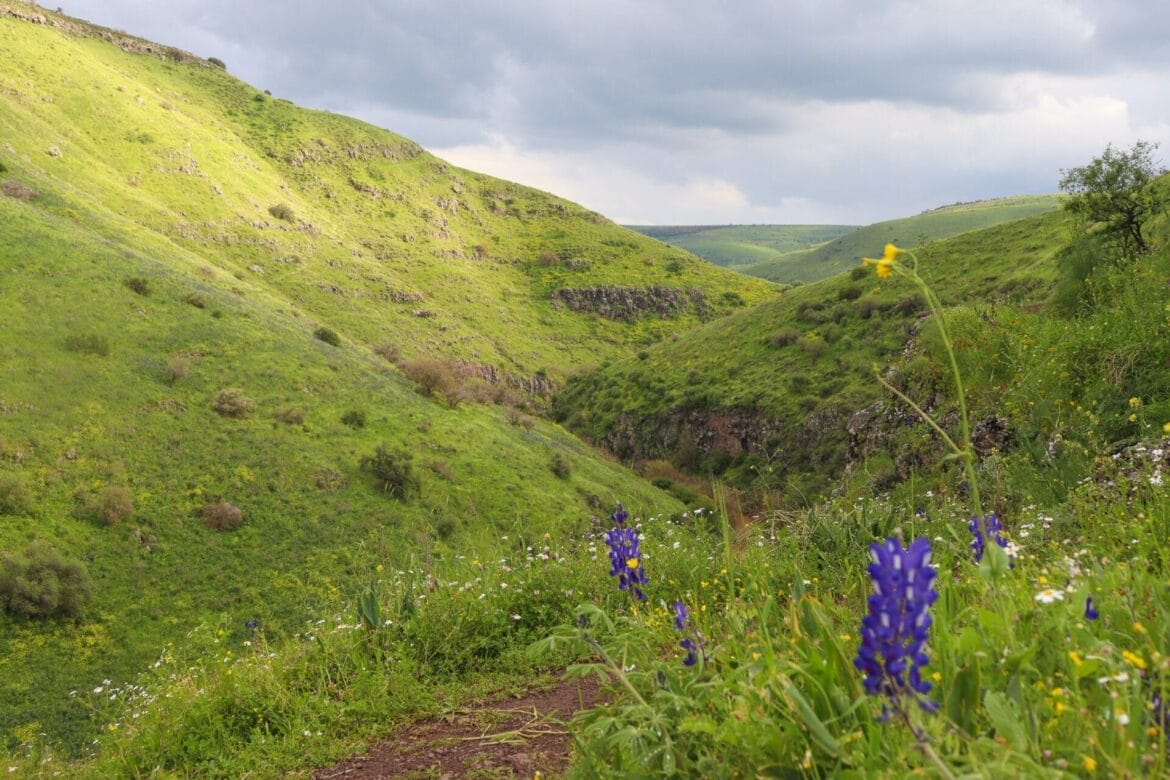 Israel at War: One Small Prayer