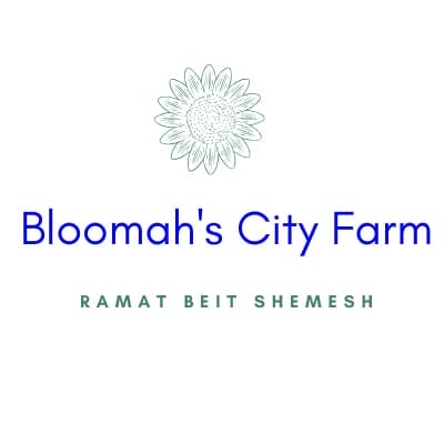 Bloomah's City Farm