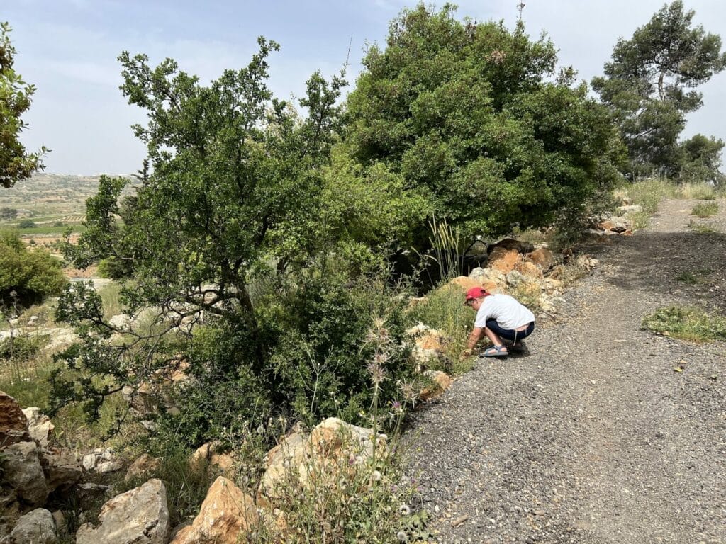 Oz VeGaon loop trail