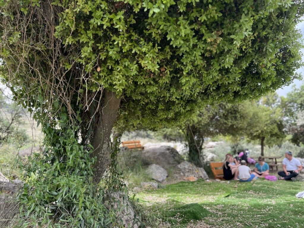 Oz VeGaon loop trail