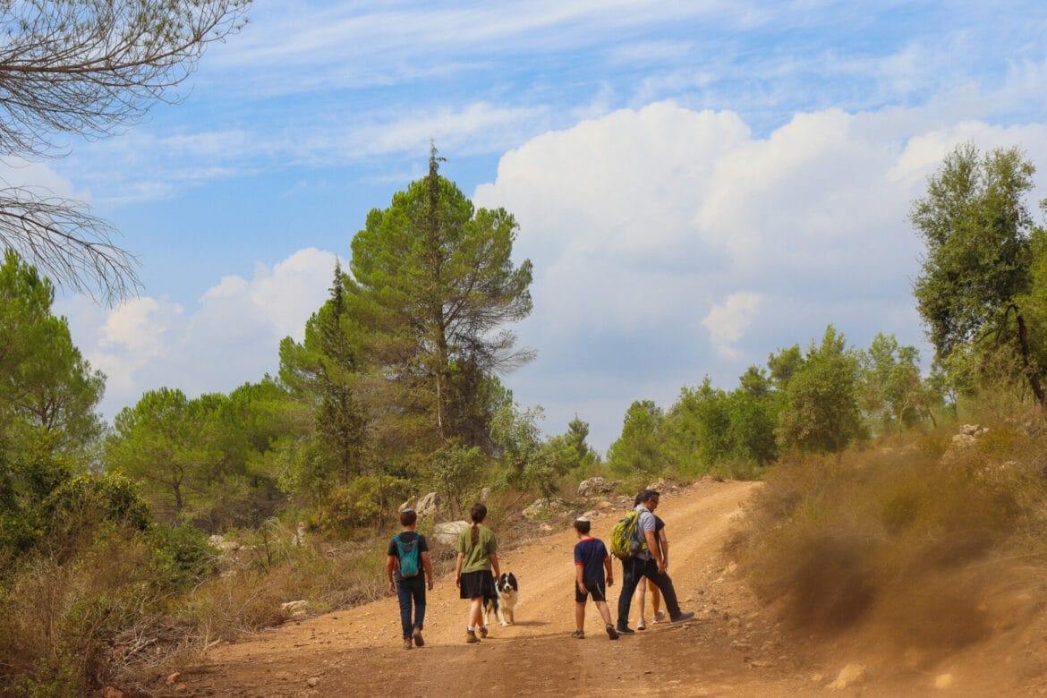 Har Giora 5K – Woodland Walk