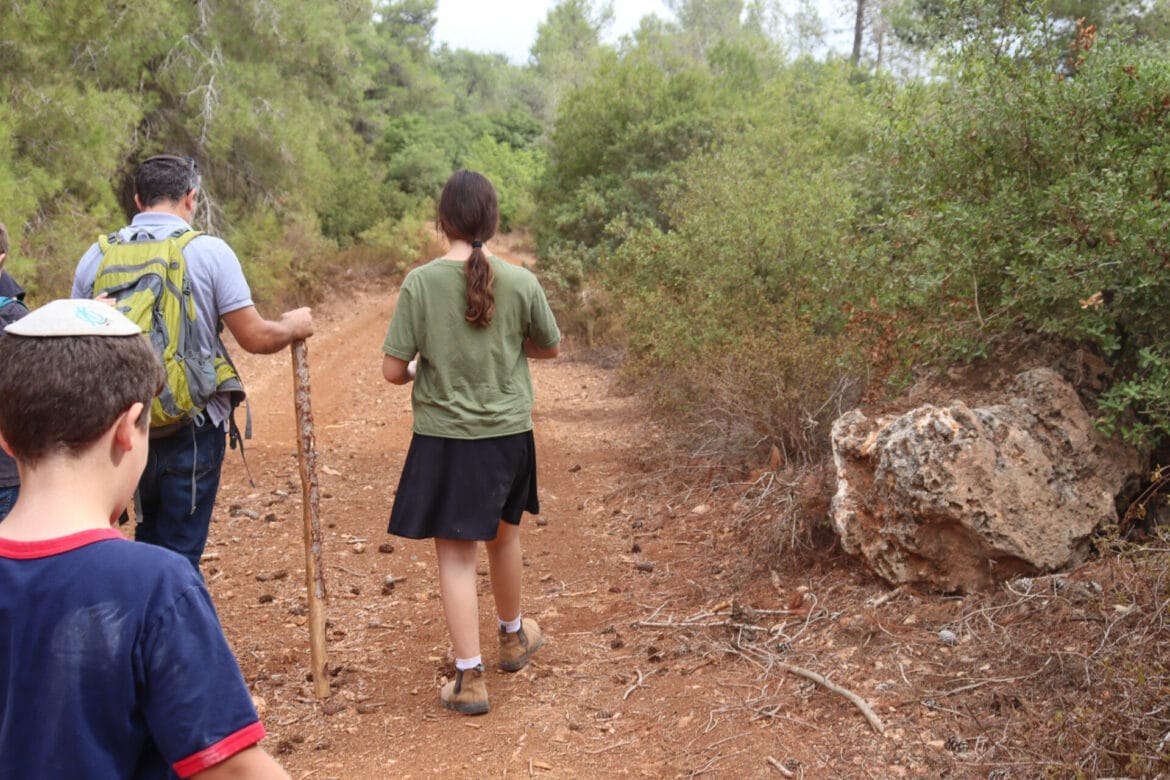 Summer 2024: Hikes in Israel Near You!