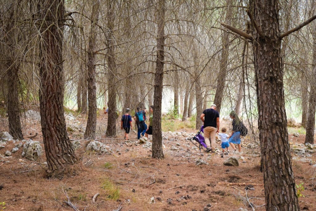 summer 2024 hikes in Israel
hiking in Israel