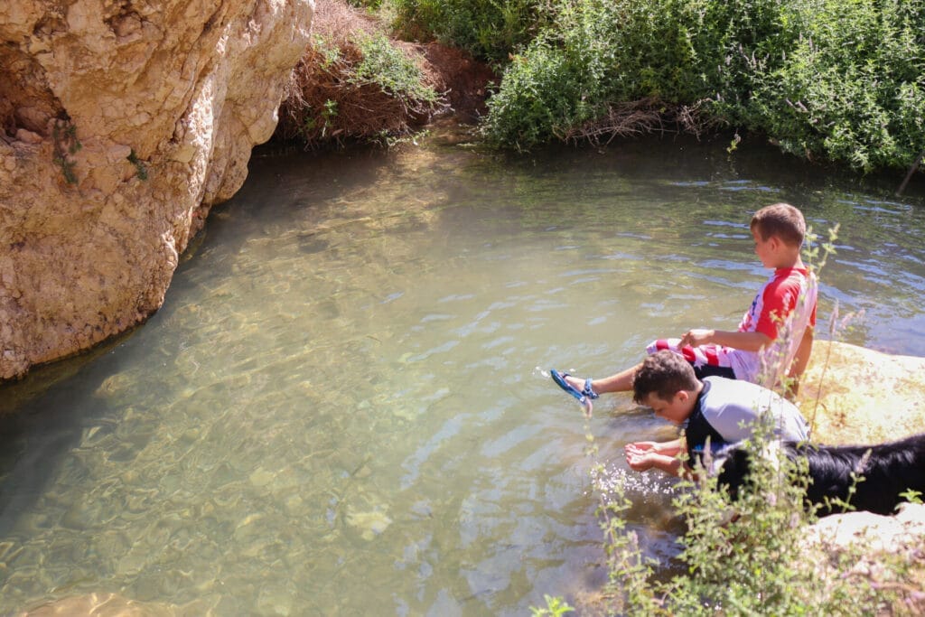 summer 2024 hikes in Israel
hiking in Israel