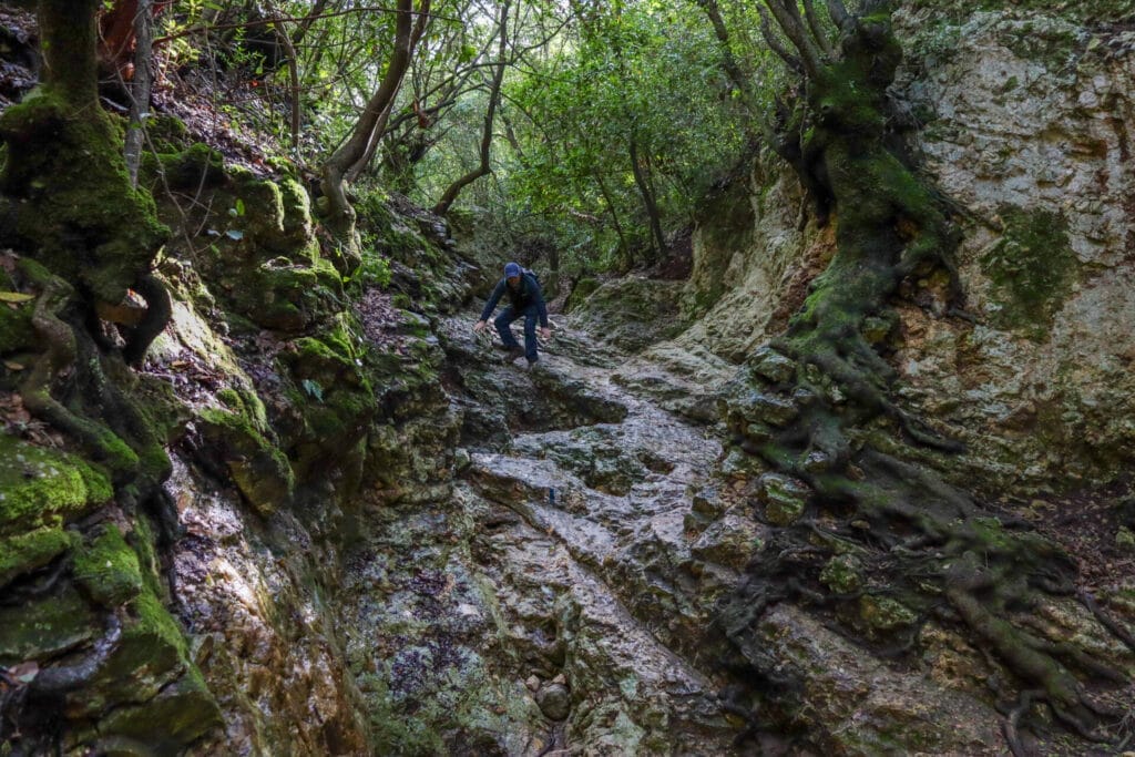 best hikes for fall in israel