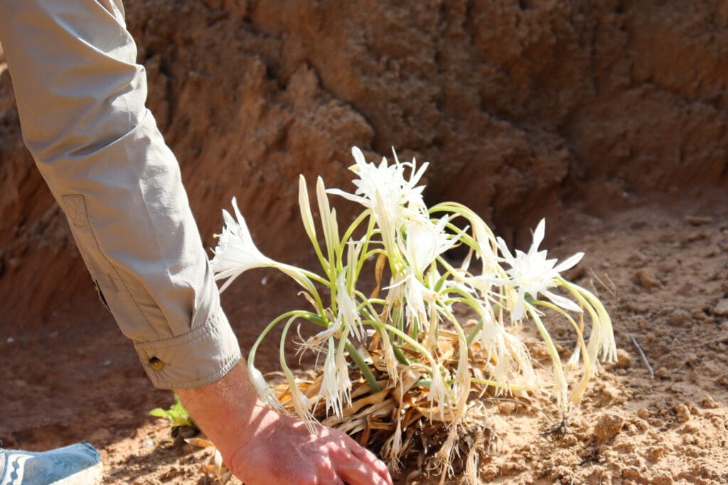 Israel Trail Netanya