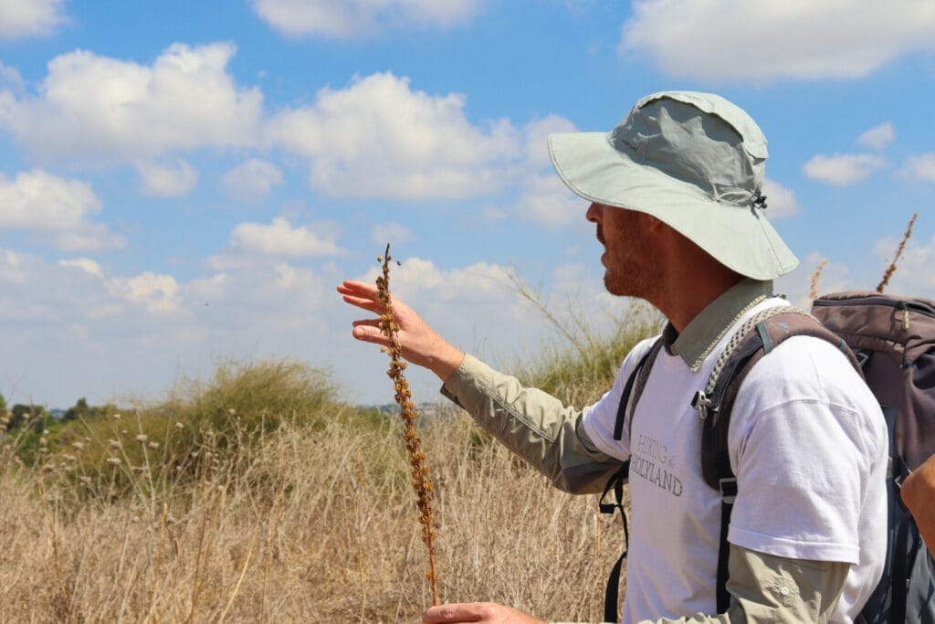Israel Trail Netanya
