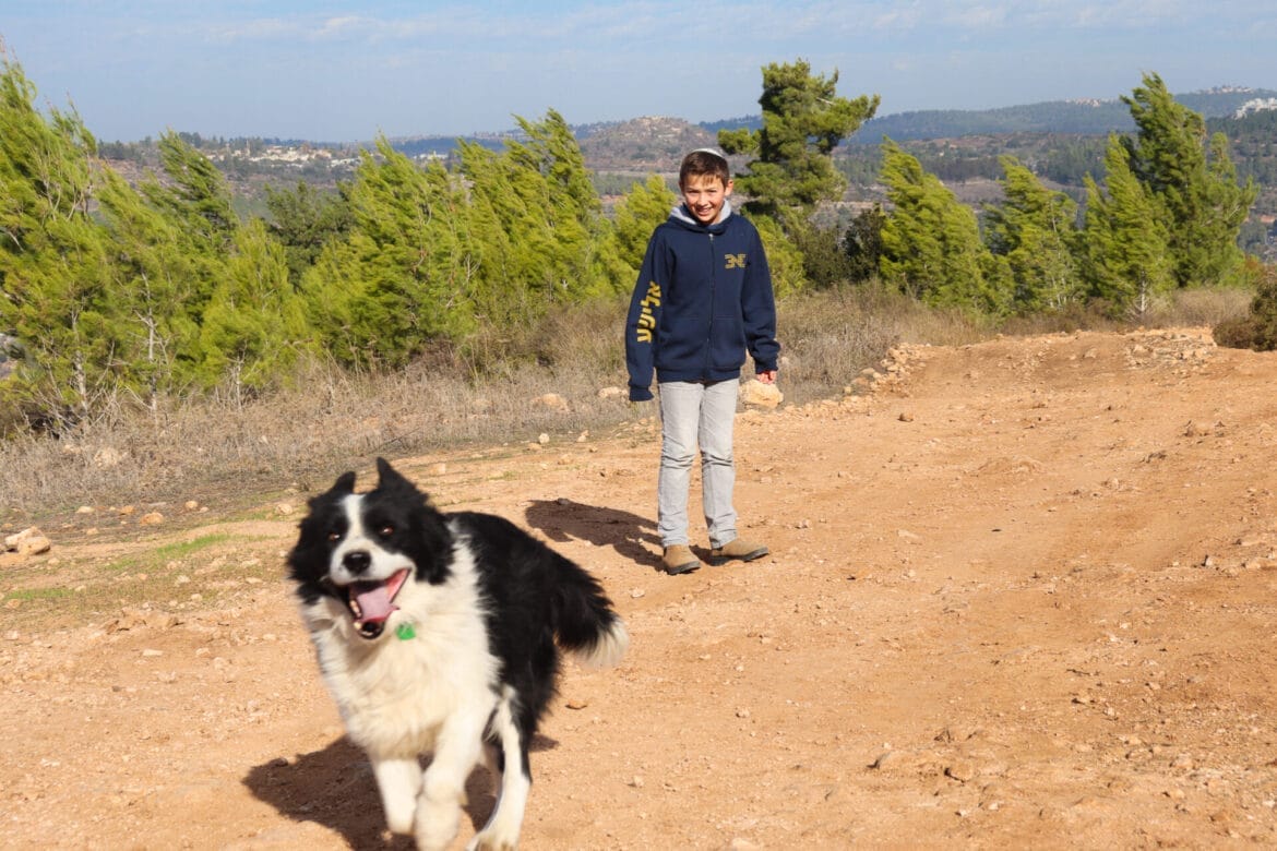 Jerusalem Springs Loop Trail
