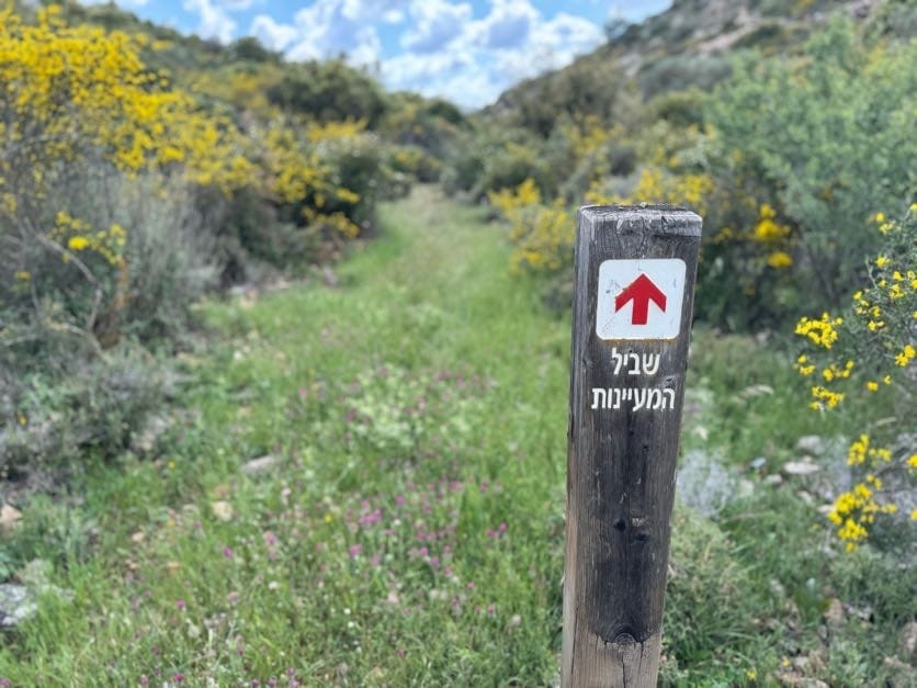 Springs Trail in Gush Talmonim hike