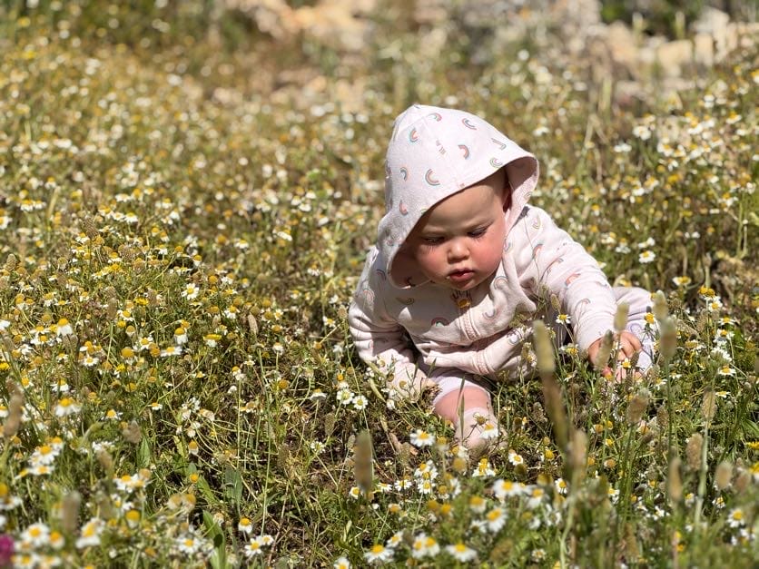 Springs Trail in Gush Talmonim hike