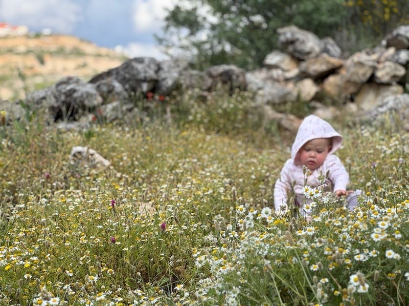 Springs Trail in Gush Talmonim
