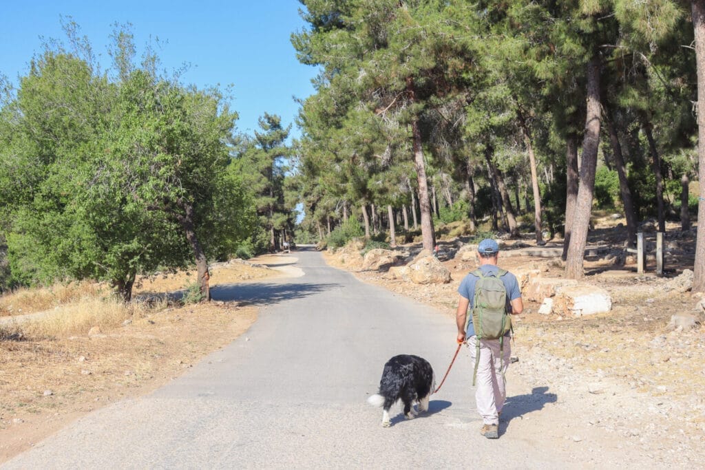Hurvat Seadim to Havat HaGitot Hike