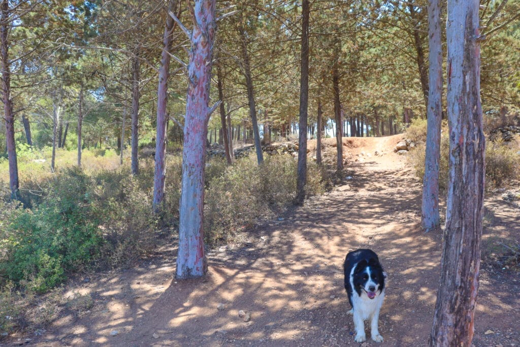 Hurvat Seadim to Havat HaGitot Hike